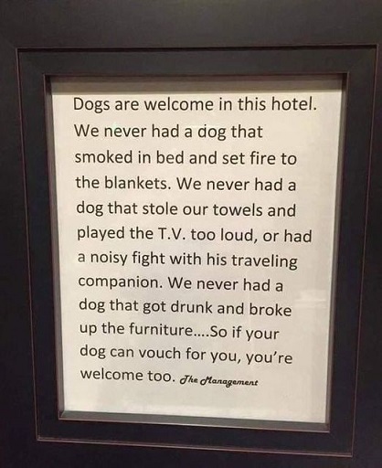 dogs and hotels