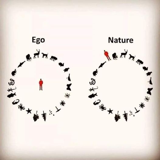 ego nature