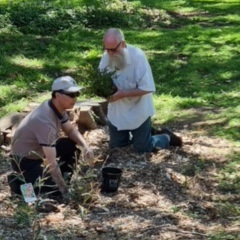 planting 1 Copy