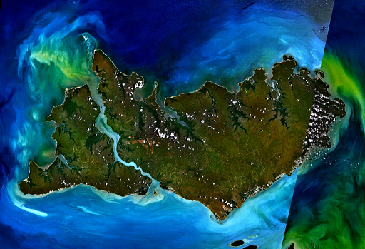 puku Tiwi Islands