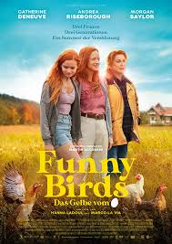 funny birds