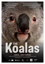 koalas