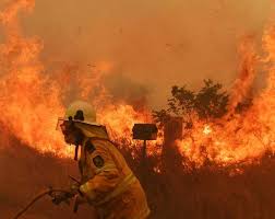 bushfires nsw