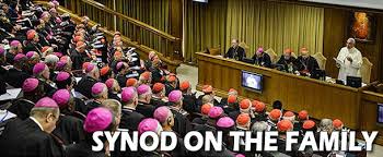 synod on family