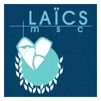 laymsc logo 200x