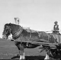 An enjoyable anecdote:  Fr Paddy Moloney MSC and the inspiration for The Old Mass Shandrydan