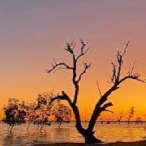 MSC pioneers in Aboriginal ministry, Menindee-Wilcannia, NSW.